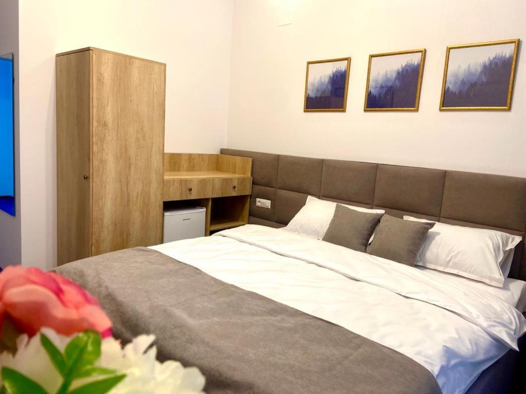 Pensiunea Sugag Ngoại thất bức ảnh